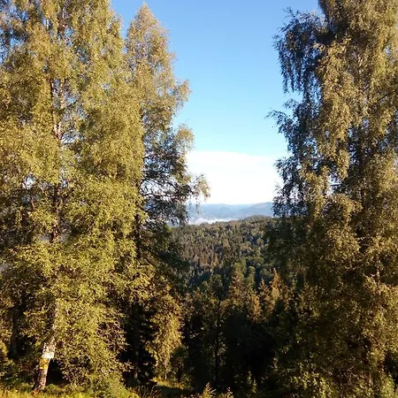 захід сонця Slavske