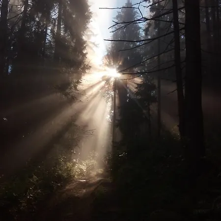 게스트하우스 захід сонця *